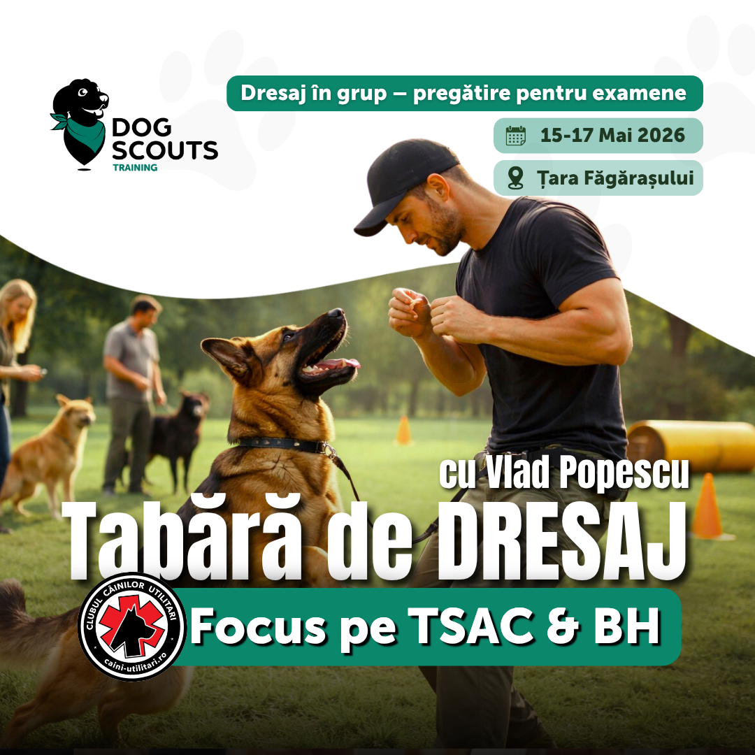 Tabără de Dresaj cu Vlad Popescu • 15-17 mai