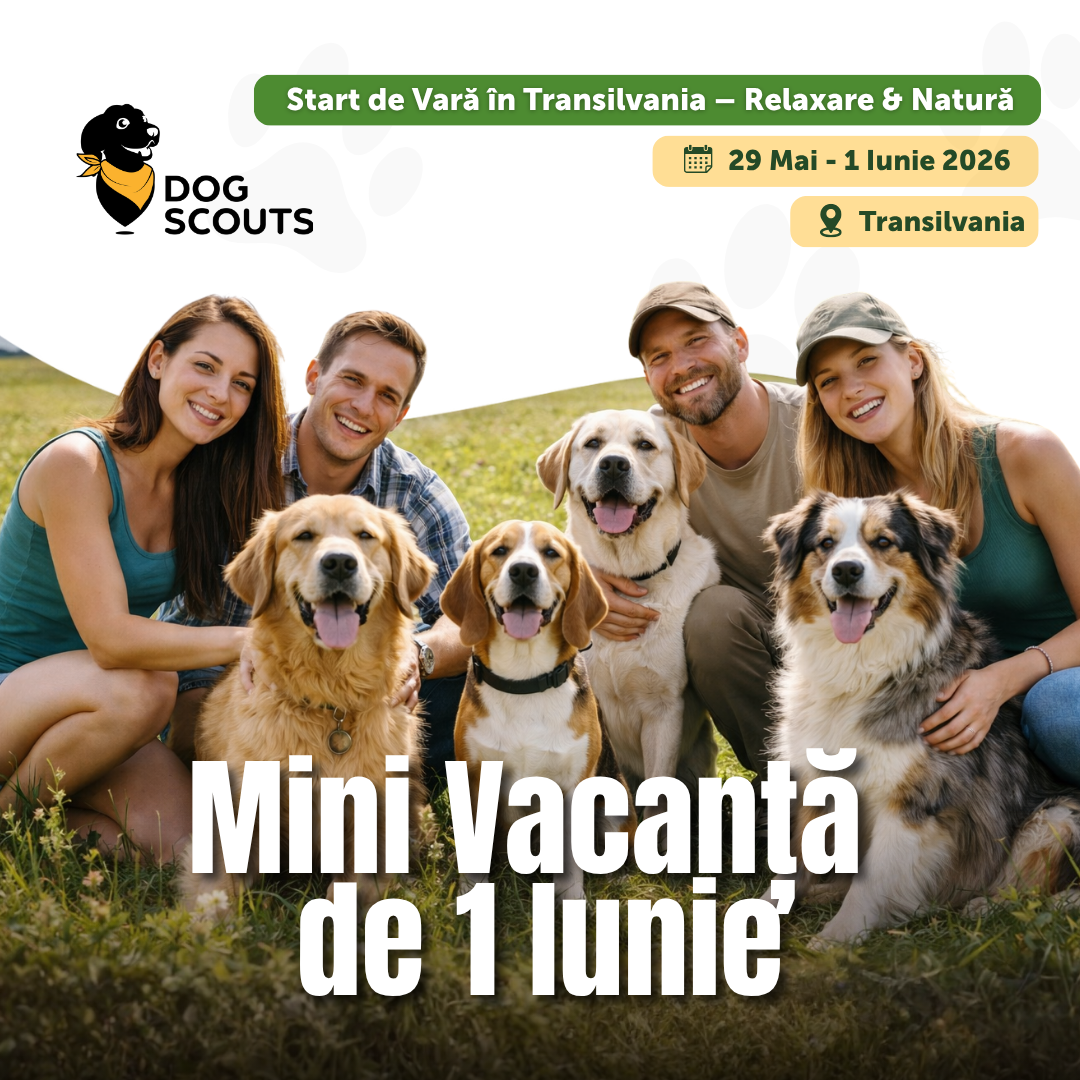 Mini vacanța de 1 Iunie • 29 mai-01 iunie