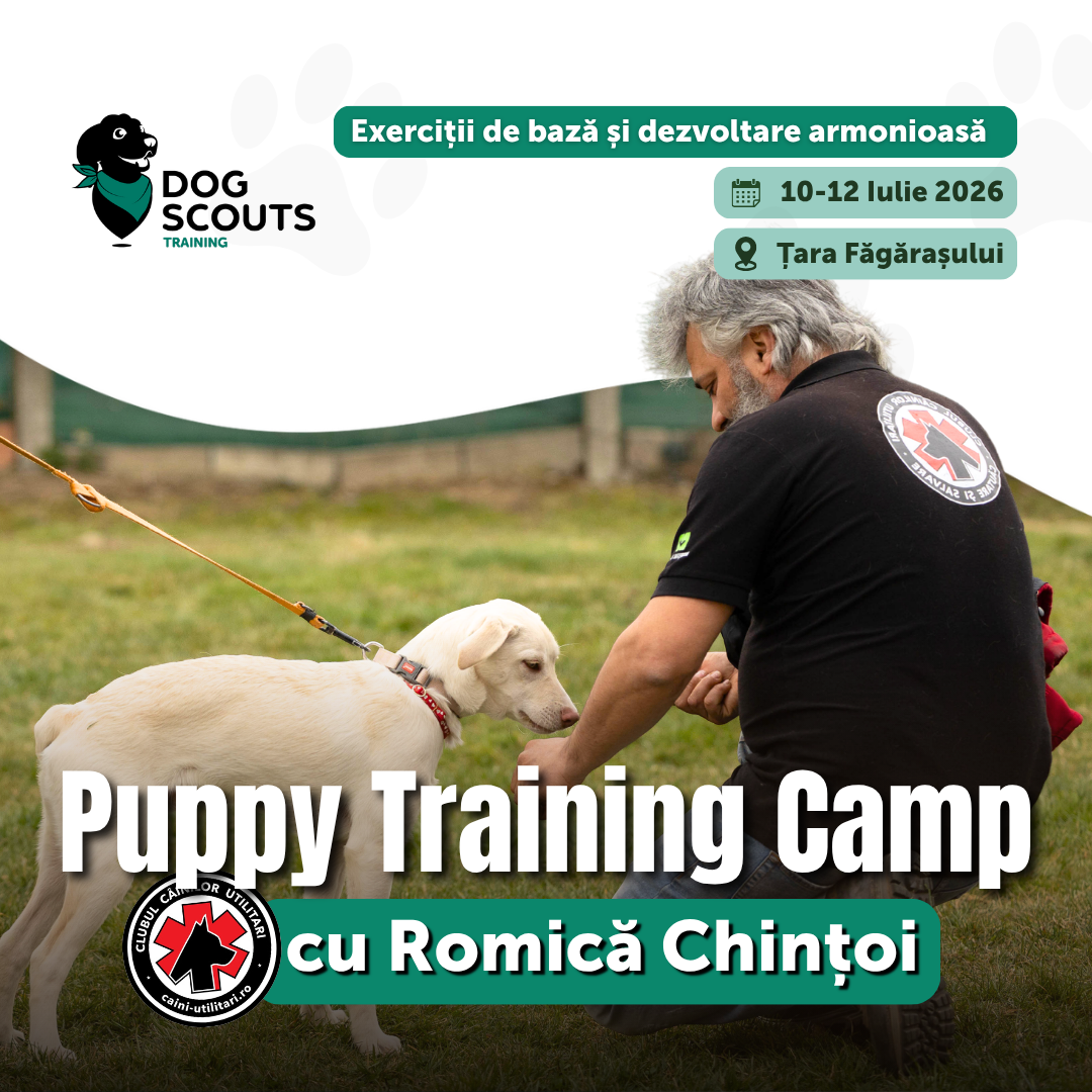 Puppy Training Camp • 10-12 iulie